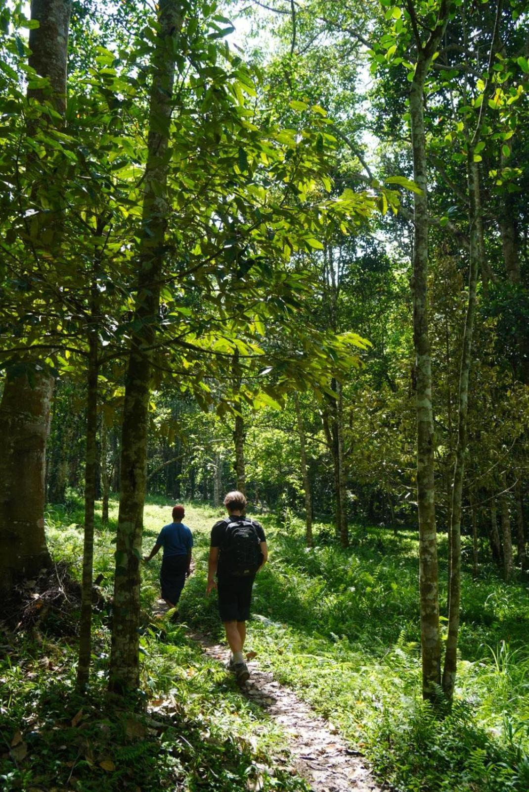Tetebatu Indah Homestay Buitenkant foto
