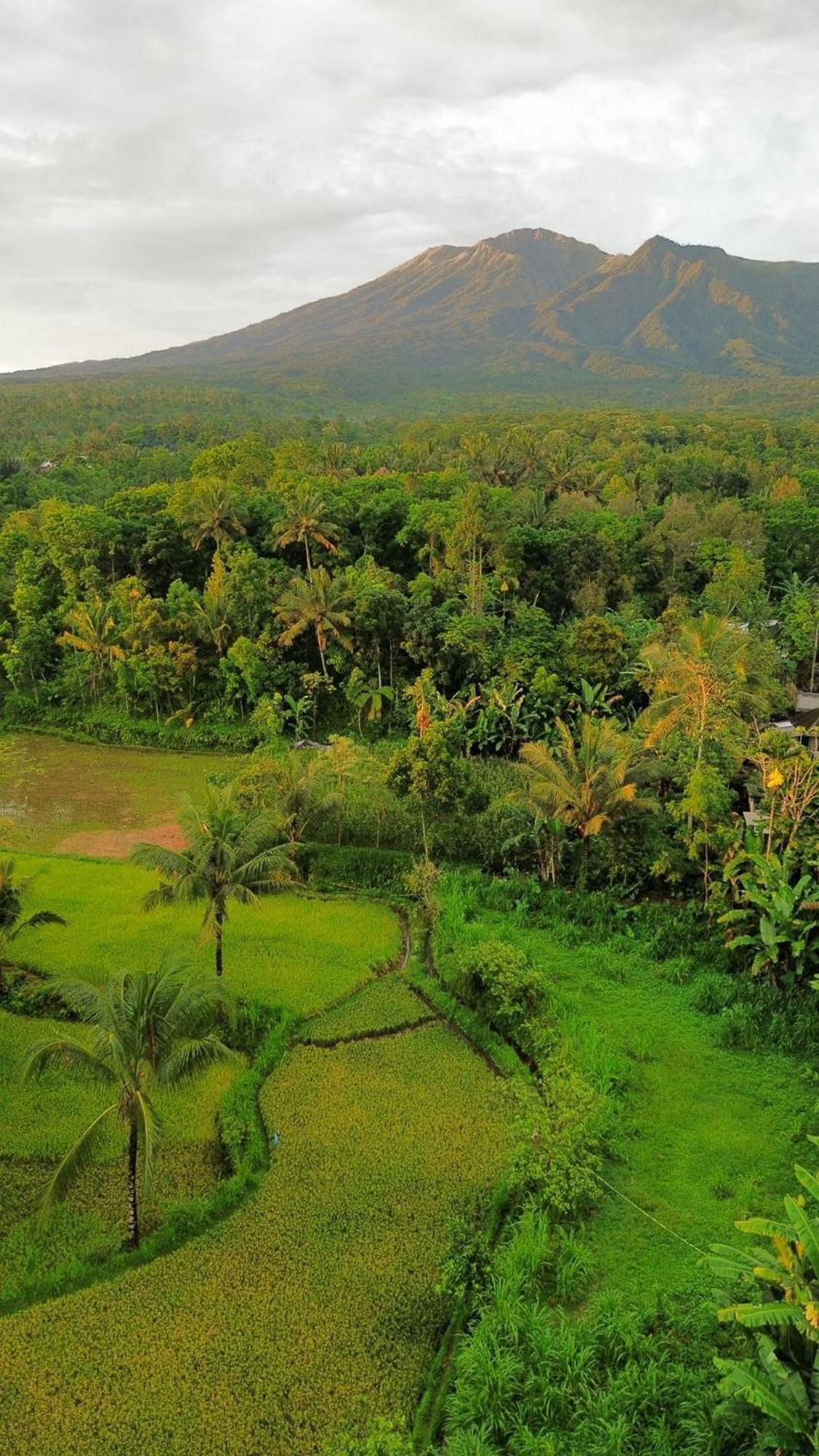 Tetebatu Indah Homestay Buitenkant foto