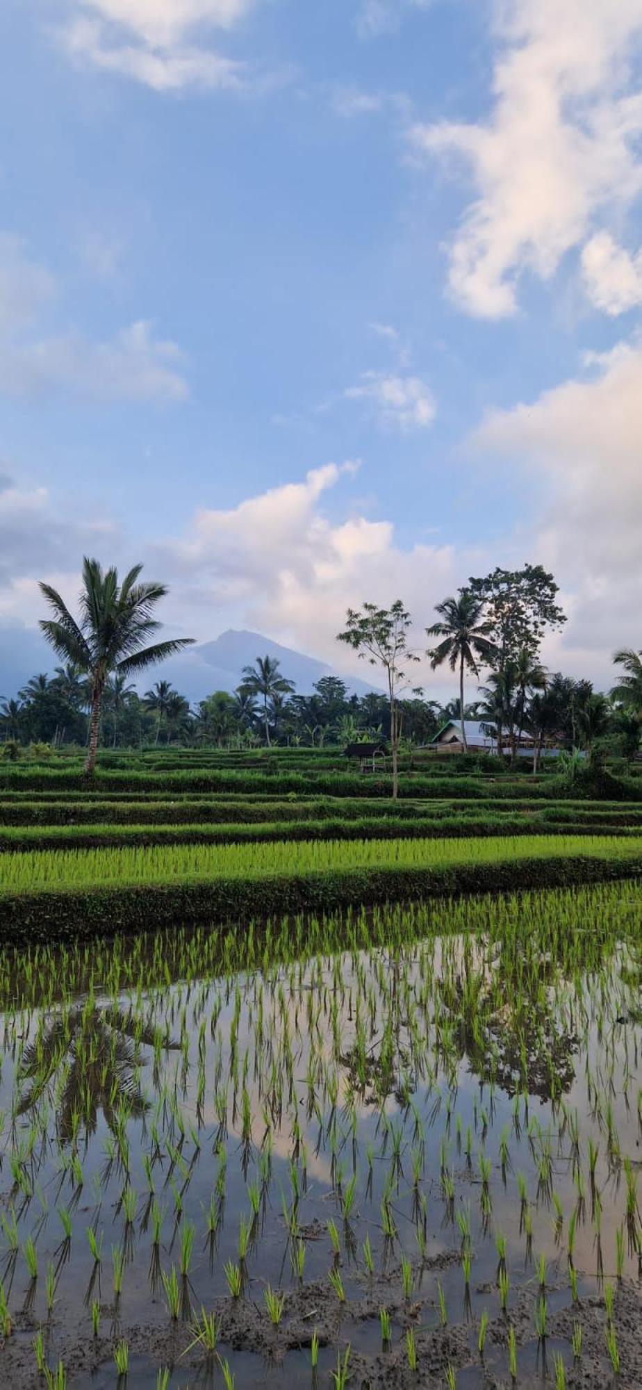 Tetebatu Indah Homestay Buitenkant foto