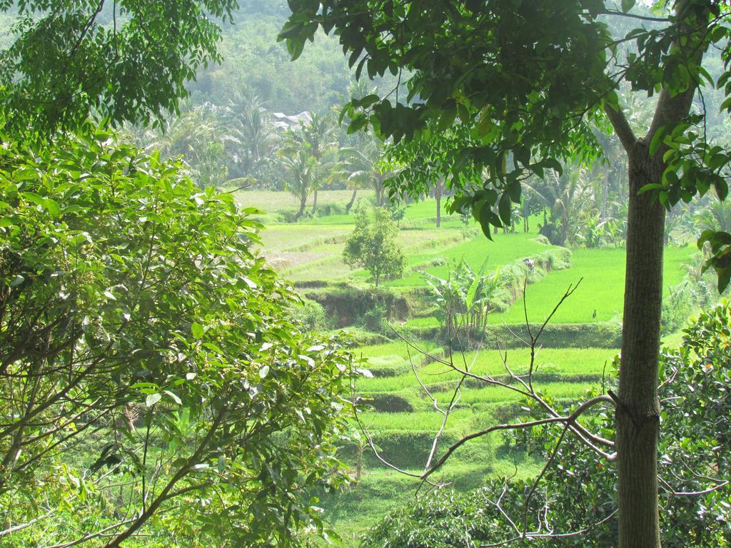 Tetebatu Indah Homestay Buitenkant foto