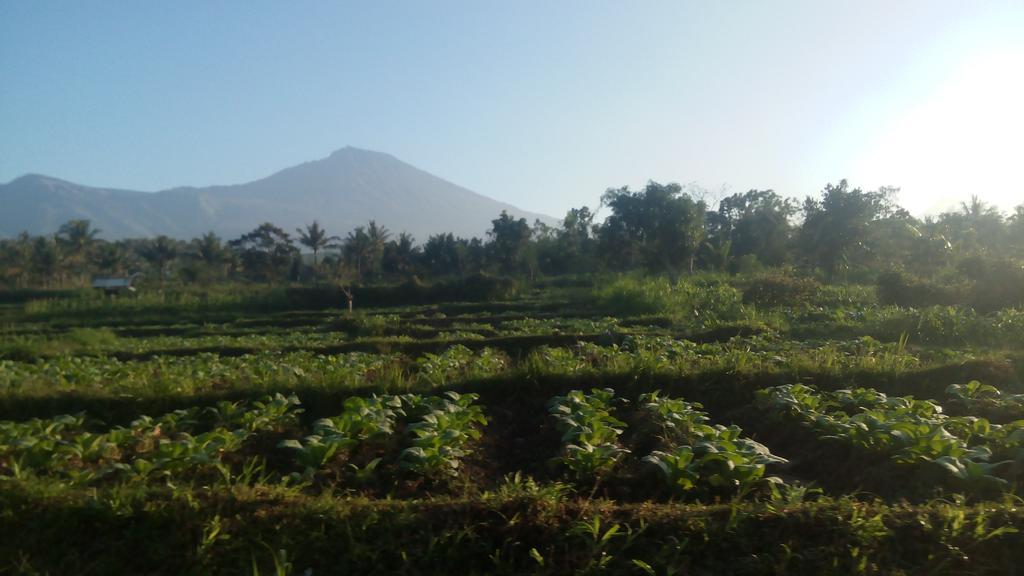 Tetebatu Indah Homestay Buitenkant foto
