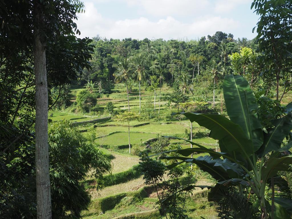 Tetebatu Indah Homestay Buitenkant foto