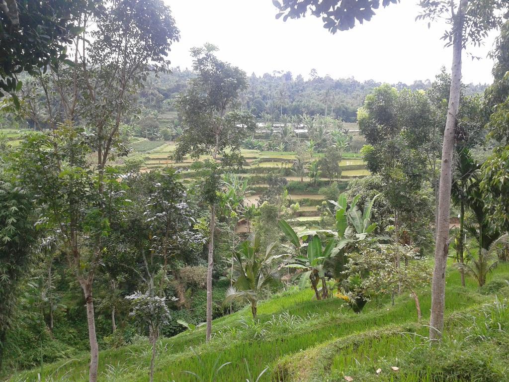Tetebatu Indah Homestay Buitenkant foto