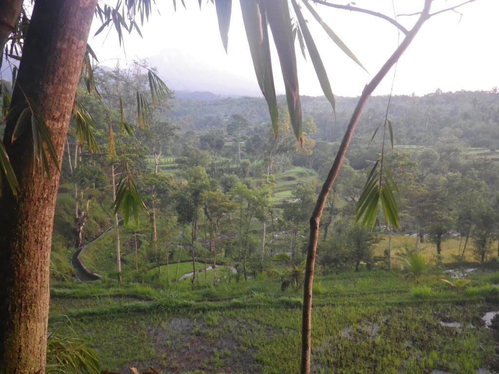 Tetebatu Indah Homestay Buitenkant foto