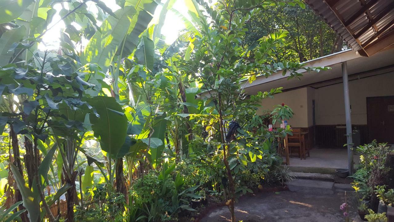 Tetebatu Indah Homestay Buitenkant foto